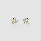Kit Heath Blossom Wood Rose Stud Earrings