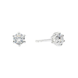 Dew Claw Set Stud Earrings 5.5mm