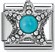 Nomination Classic Silver Turquoise Starfish Charm