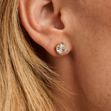 Ti Sento Claw Set CZ XL Stud Earrings Golden