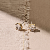 Ti Sento Claw Set CZ XL Stud Earrings Golden