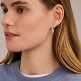 Ti Sento Tennis CZ Oval Hoop Earrings Golden