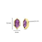 Ti Sento Hexagonal Purple CZ Stud Earrings SALE