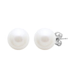 9ct White Gold River Pearl Stud Earrings 8-8.5mm