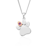 Clogau Gold Sterling Silver Paw Prints Birthstone Pendant