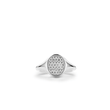 Ti Sento Oval CZ Signet Ring SALE