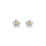 Kit Heath Blossom Wood Rose Stud Earrings