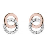 Dew Double Circle Rose CZ Stud Earrings SALE