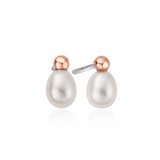 Clogau Nature's Wonder Silver Pearl Beachcomber Stud Earrings