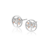 Clogau Tree of Life Silver Stud Earrings