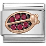 Nomination Classic Rose Gold CZ Black Rhodium Ladybird Charm SALE