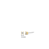 Ti Sento Claw Set CZ Small Stud Earrings