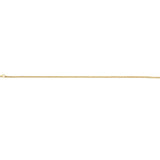 9ct Yellow Gold Box Belcher 1 Ankle Chain